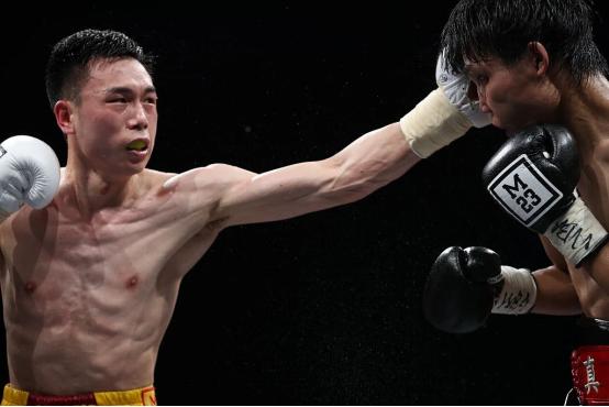 最新世界拳王排名揭晓，权威排名大揭秘🥊