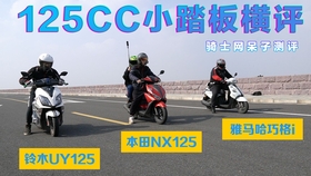 骑士网呆子最新测评，小巷独特风味揭秘