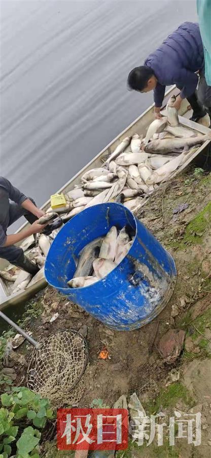 湖南常德最新新闻报道