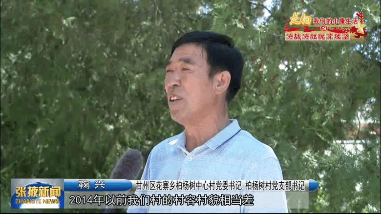 杨树洼的情缘故事,最新章节揭示乡村深情