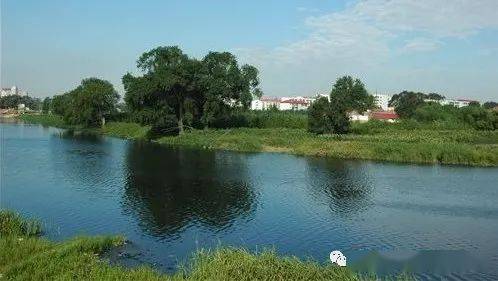 阿什河最新动态,夏日涟漪涌动