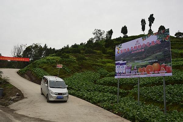 建峰化工最新消息,心灵与自然的奇妙交汇之旅