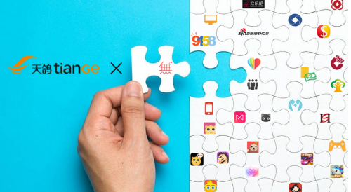 天鸽直播最新路线探索，巷弄深处的惊喜之旅