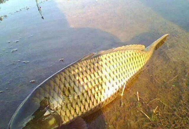 安馨苏凛，自然探索之旅，追寻内心平和的旅程