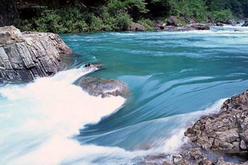 工程鉴定 第524页