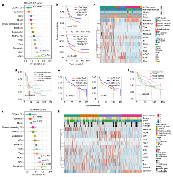 澳彩全年资料,数据详解说明_XBL78.575内置版