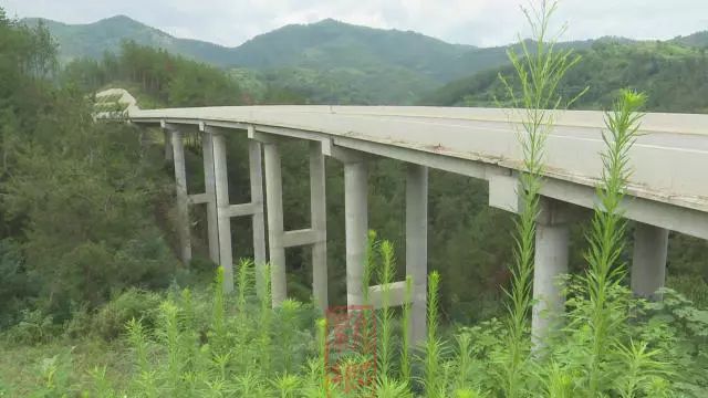 洋县贴吧最新动态更新