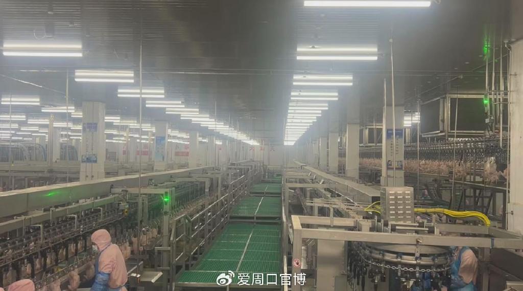 周口搬口最新动态,科技引领生活,前沿产品塑造未来