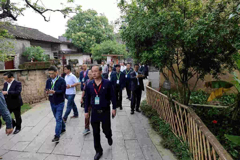 广东汕尾市温馨日常,友情、家庭与爱的力量最新报道