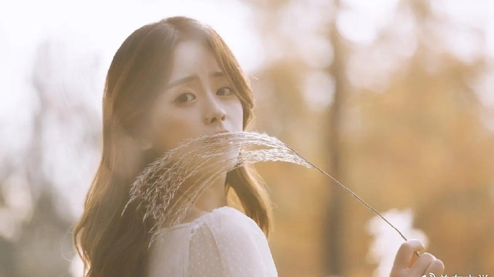 自然美景探险之旅,靳少蒋瑶的心灵寻找与最新章节