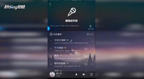 酷我最新版下载，音乐领域的璀璨新星官方体验