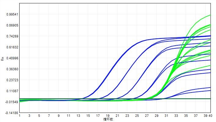 澳门王中王100%期期准,实地验证实施_ONC78.204神秘版