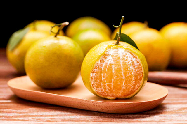 中国最新优质柑橘品种探索之旅，自然美景下的柑橘盛宴