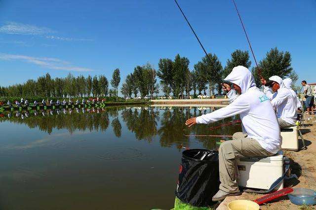 工程鉴定 第491页