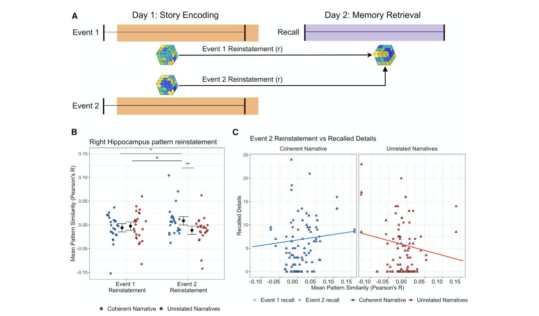 电鱼后级电路图揭秘,温馨水边回忆与科技的交融