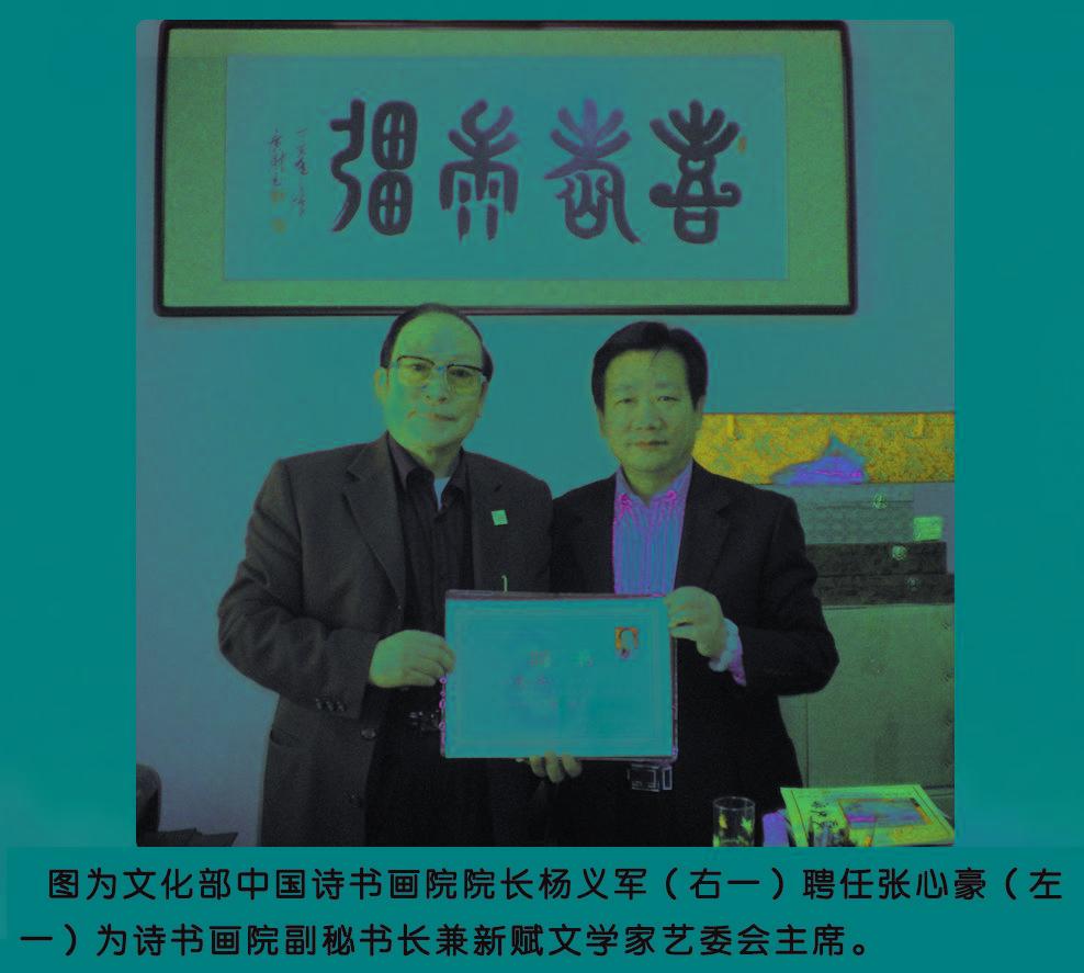 张献豪最新动态,技能提升与任务完成指南