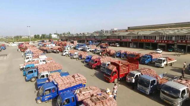 地滩货批发最新产品,时尚潮流与实用性的完美结合亮相批发市场