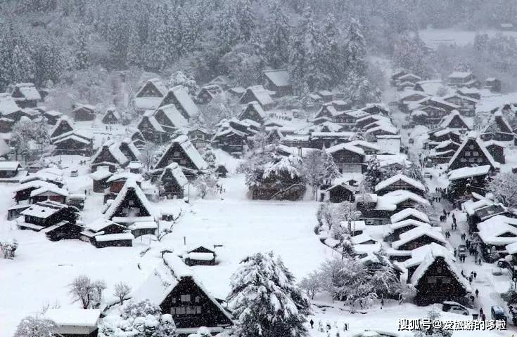 湖南胡彪最新动态揭秘，小巷深处的独特风味探秘之旅
