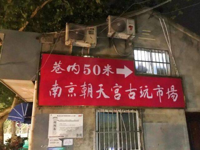 天一犬舍,探寻神秘乐园,遇见最新种公的魅力