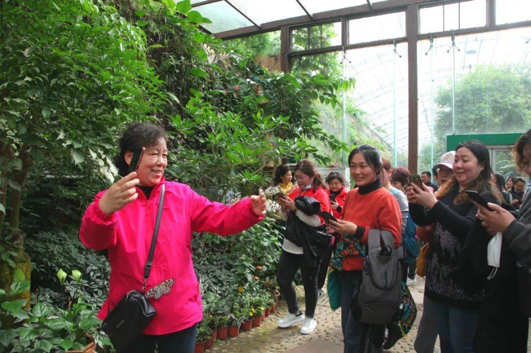 天津弃婴岛,守护新生之旅最新进展报道