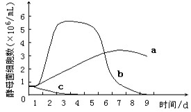 台湾佬网最新地址,台湾佬网最新地址,探索台湾佬网的最新动态与变迁