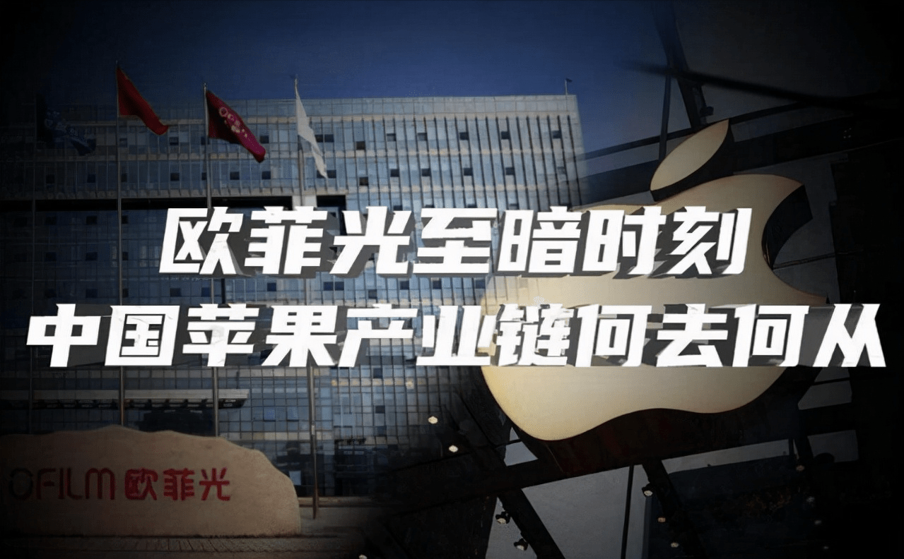 塘沽电子厂最新招聘揭秘，小巷中的职业宝藏等你来发掘！