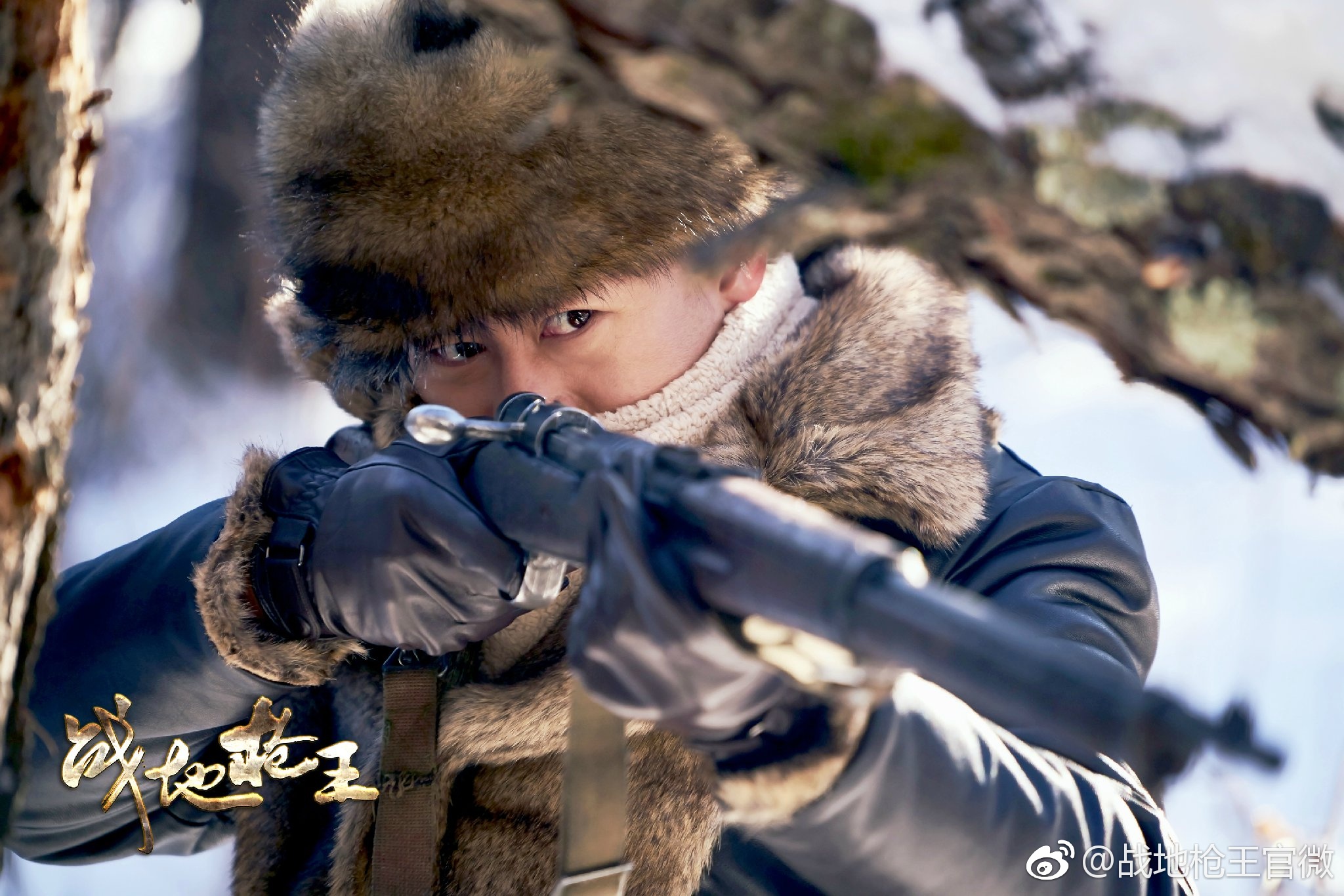 最新战地枪王电视剧，时代印记与战争写照的热血篇章