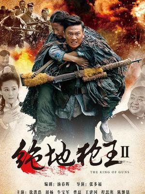 最新战地枪王电视剧,时代印记与战争写照的热血篇章