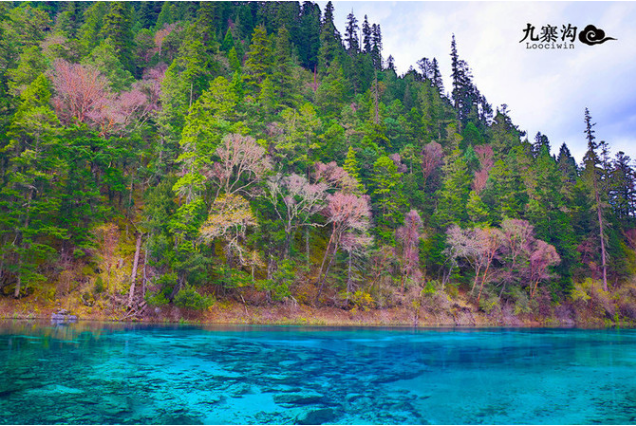 九赛沟最新动态,自然奇景揭开崭新篇章