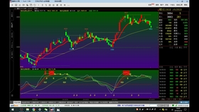 王中王72396.cσm查询单双八尾,即时解答解析分析_YKM23.602通行证版