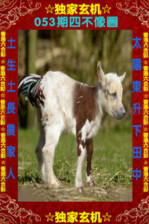 结构加固设计 第490页