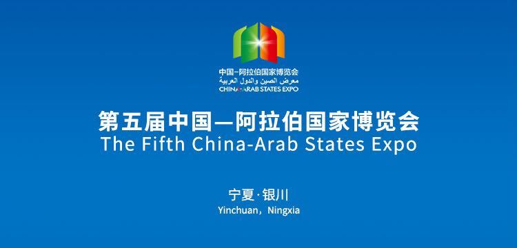 曾道道人论坛网站1339未来展望,最新研究解读_LGM23.749数字版