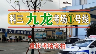 新东方科目三视频最新,小巷特色小店的独特魅力探索