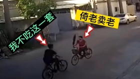 新东方科目三视频最新,小巷特色小店的独特魅力探索