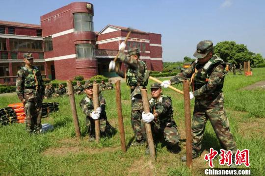 小小军团最新版本,自然美景之旅的呼唤启动新征程!