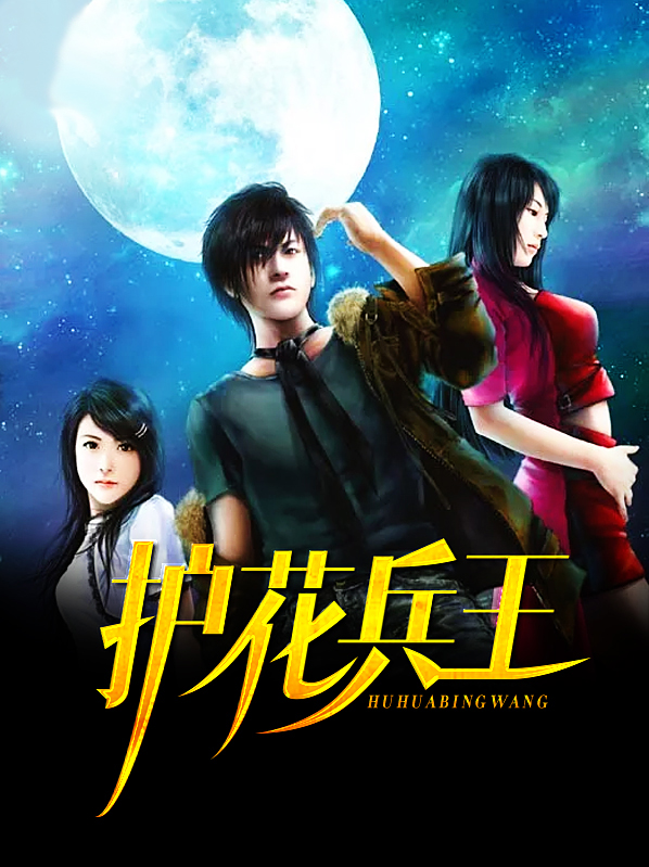 护花兵王叶凌风最新,高科技时代的先锋英雄