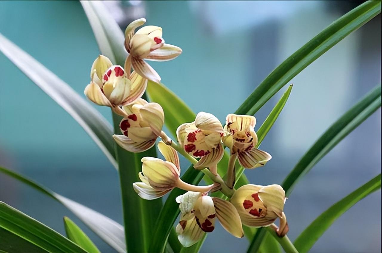 工程鉴定 第471页