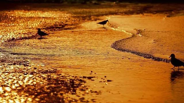 工程检测 第470页