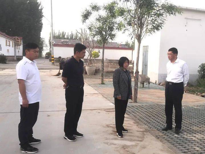 寿县阳光半岛启航新征程,最新消息与自信成长的交汇之地