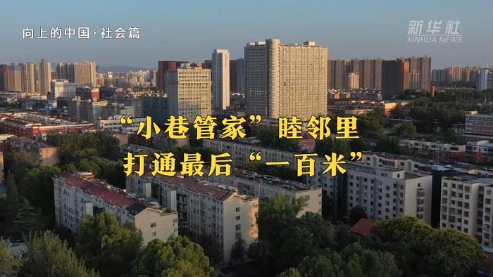 寿县阳光半岛启航新征程,最新消息与自信成长的交汇之地