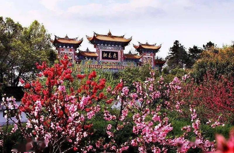 桃花源最新地址揭秘,一段温馨有趣的寻访桃花源之旅