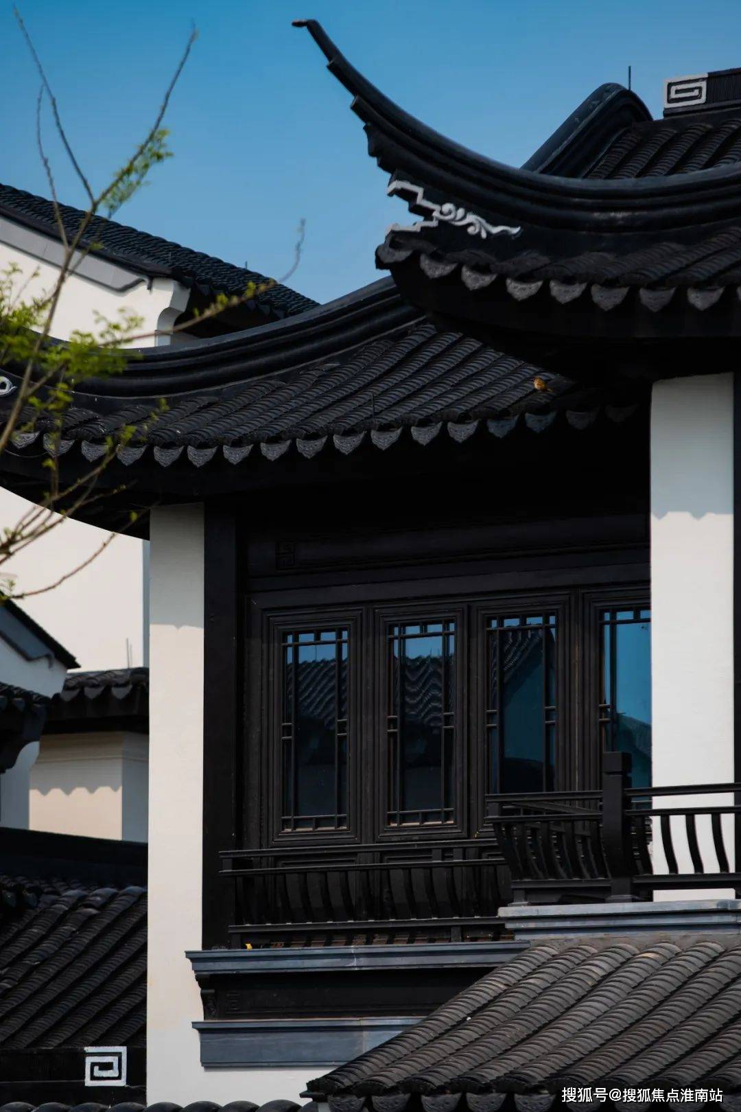 择天记猫腻最新章节深度解析