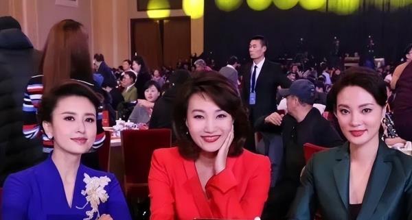 刘芳菲最新消息新闻综述，揭秘其最新动态与言论论述