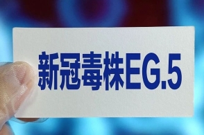 香港二四六天天开奖真,数据科学解析说明_GKY10.153钻石版