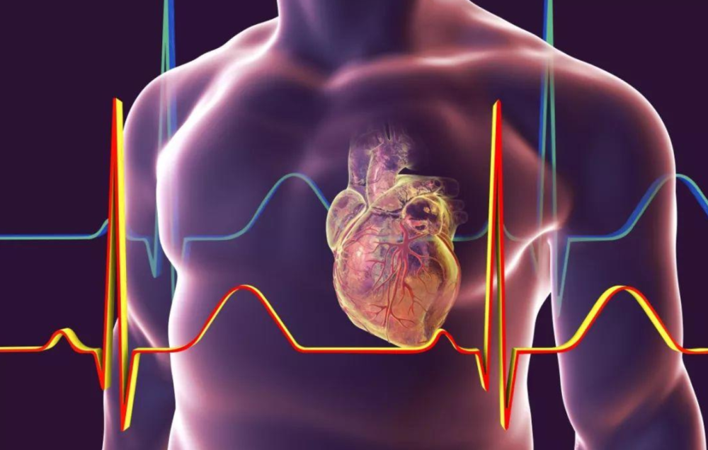 新奥彩资料免费提供澳门,科学解释分析_KGN10.314原汁原味版