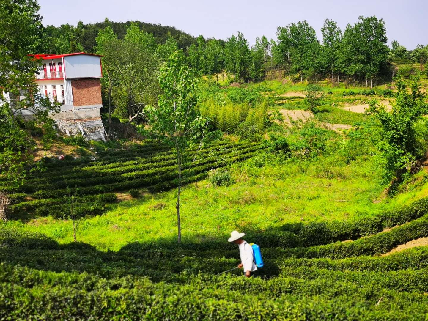 淮南万国广场最新动态揭秘,发展与变迁的深入探讨