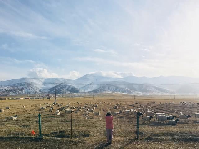 西宁出租车大包选购与安装指南,选购最新款式与安装步骤全解析