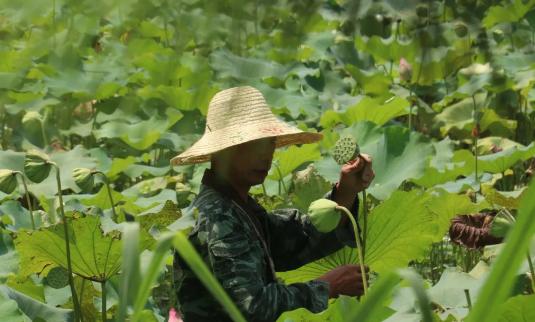 江西乐平未来蓝图惊艳亮相，全新规划展望美好明天！✨