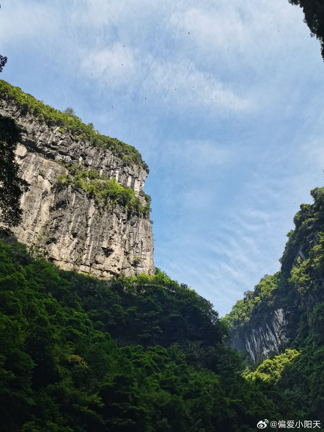 武隆最新动态,揭秘最新消息✨