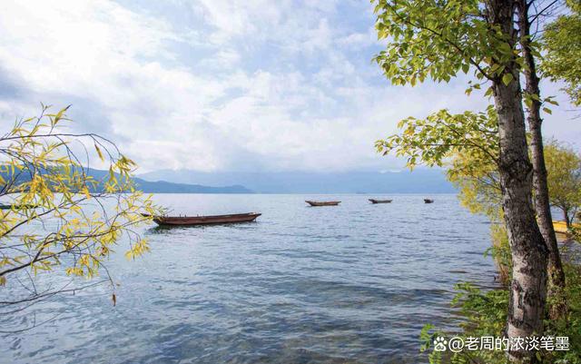 SP主最新,自然美景之旅,探寻内心平和静谧的轻松之旅